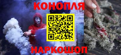 прущие грибы Владивосток