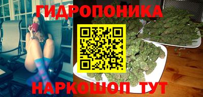 прущие грибы Владивосток