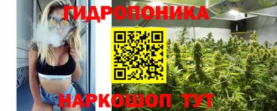 прущие грибы Владивосток