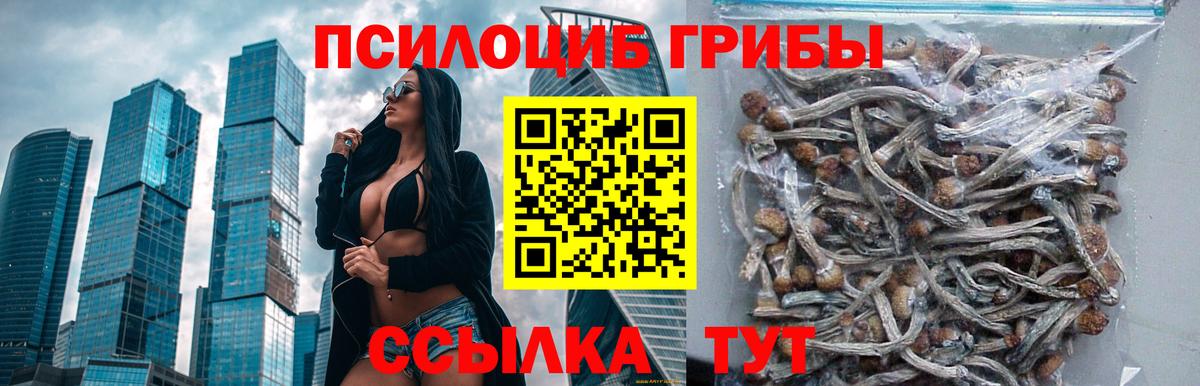 Псилоцибиновые грибы Psilocybe  Псилоцибиновые грибы прущие грибы  Вход с VPN  Комсомольск-на-Амуре 